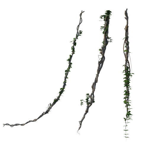 vines-jungle-leaves-wooden-forest-4932296