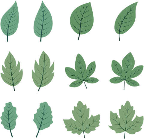 leaves-nature-forest-plants-9601261