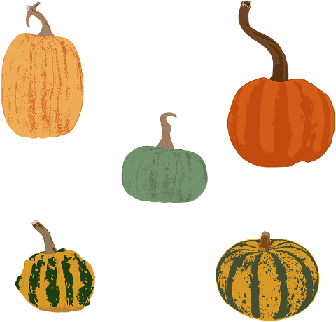 pumpkins-squash-gourds-thanksgiving-7448348