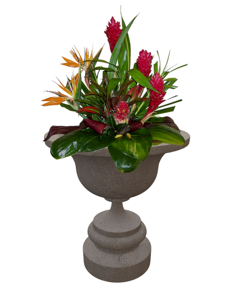 flowers-plants-planter-container-6154957
