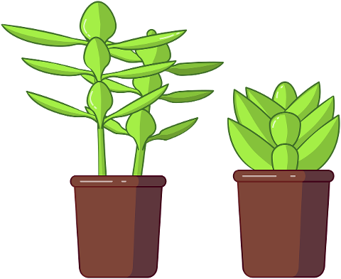 succulents-succulent-vector-flowers-4609087