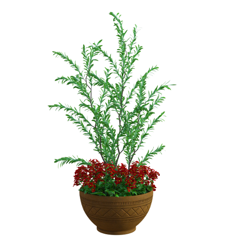 garden-planter-vase-green-plants-4757264