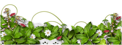 listello-flowers-greens-design-4856652