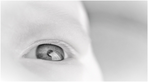 eye-baby-infant-newborn-pupil-4772688