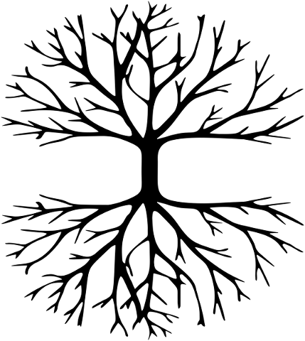 tree-roots-silhouette-plant-5818945