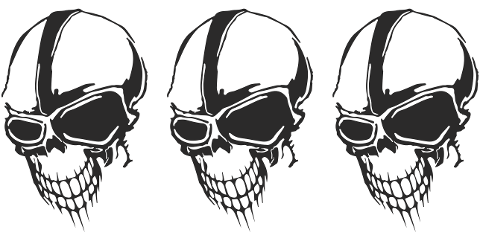 skull-skeleton-head-human-face-4142919