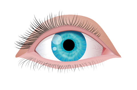 eyes-illustration-isolated-4556895