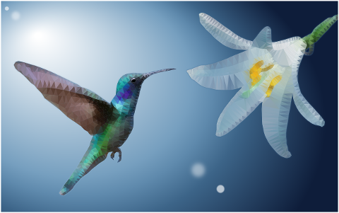 hummingbird-ave-flower-low-poly-4156834