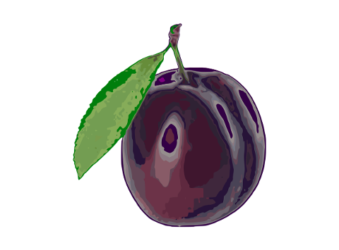 plum-food-fruit-eat-plums-4941193