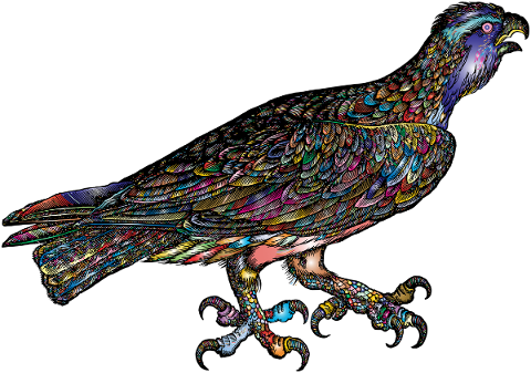 eagle-bird-line-art-animal-wings-5207939