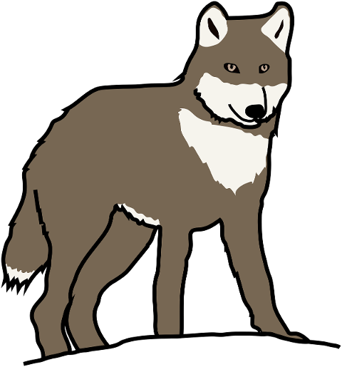 wolf-canine-fur-grim-animal-7846305