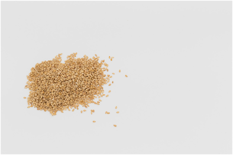 sesame-cereals-linen-sano-meal-4535592