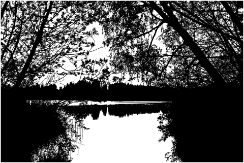 forest-trees-silhouette-lake-5130340