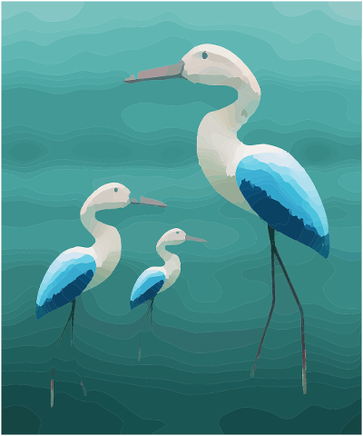 birds-aviary-nature-cranes-4123967