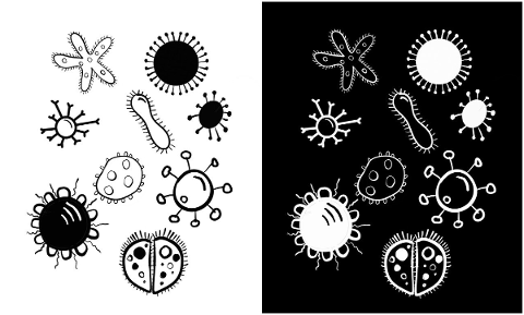 virus-covid-coronavirus-graphic-5139115