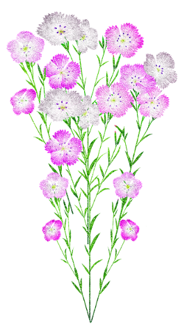 flower-glitter-floral-frame-4918207
