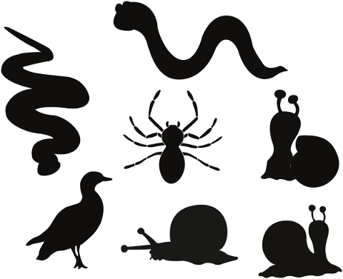 animal-silhouettes-snake-bird-4880924