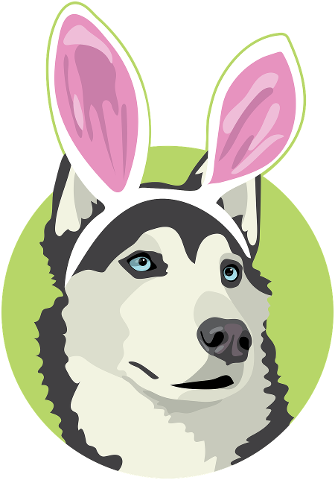 easter-dog-dog-easter-easter-4494980