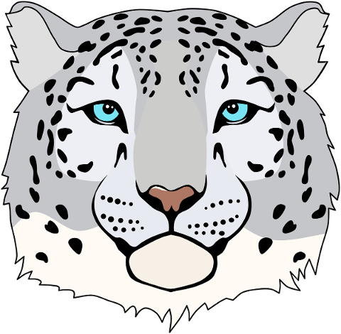 snow-leopard-leopard-cat-feline-5543394