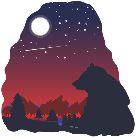 bear-night-moon-moonlight-sky-4783522