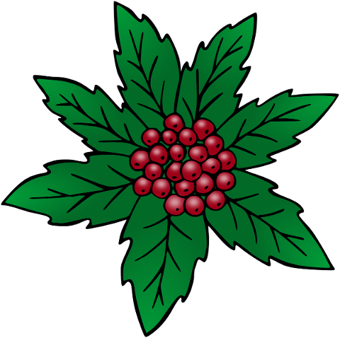 holly-christmas-mistletoe-5621751