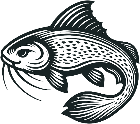 catfish-freshwater-fish-aquatic-life-8882290