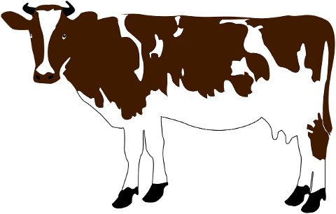 cow-cattle-farm-animal-bull-7145412