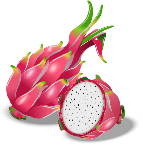 dragon-fruit-ripe-dragon-fruit-7020517