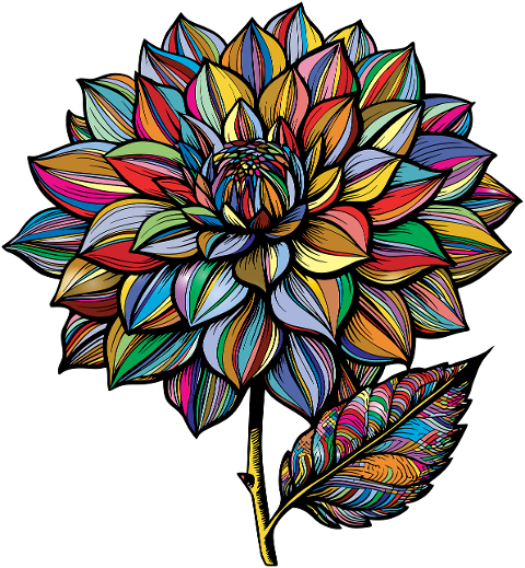 dahlia-flower-plant-decorative-8764332