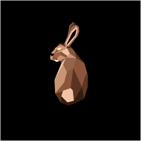 hare-rabbit-bunny-ears-fur-eyes-5819922