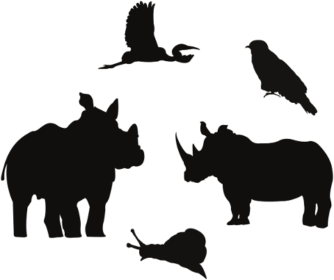 animal-silhouettes-rhino-birds-4880931