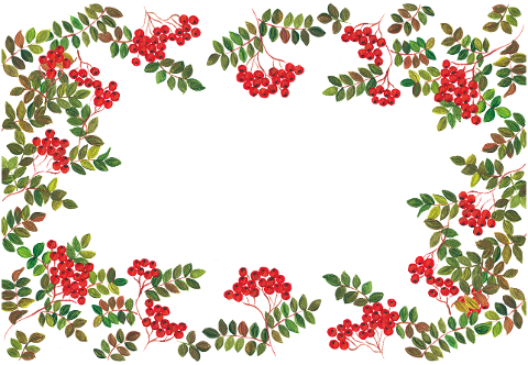 rowan-berries-frame-border-theme-7503828