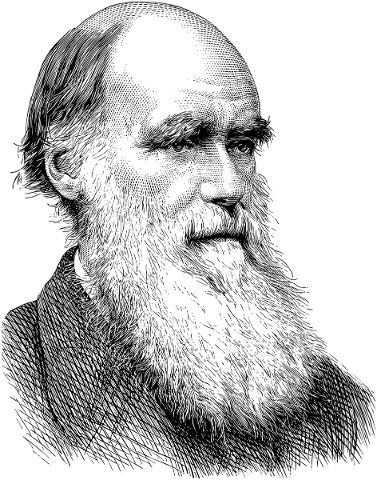 charles-darwin-portrait-line-art-5111317