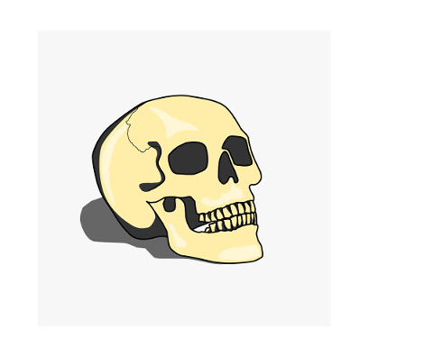 skull-cranium-human-dead-death-5783529