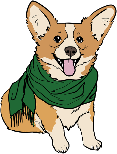 corgi-dog-pet-animal-domestic-dog-8472960