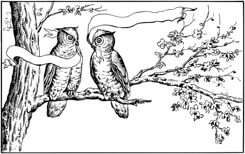 owls-birds-animals-ribbons-sign-4758956