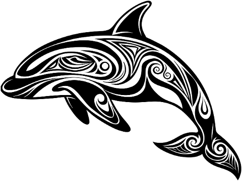 orca-killer-whale-aquatic-marine-8853348