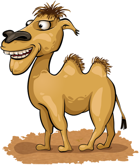 camel-two-humped-camel-7738583