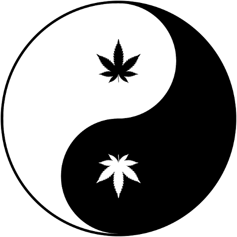 marijuana-yin-yang-leaf-drugs-6064075