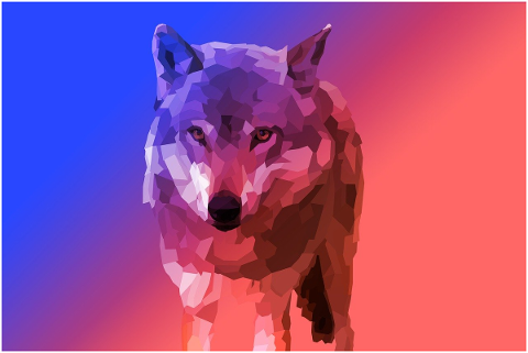 animal-polygon-poly-wolf-4642684