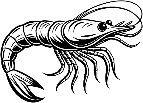 ai-generated-shrimp-crustacean-8863806
