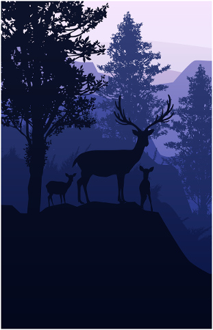 deer-animal-nature-wildlife-4826589