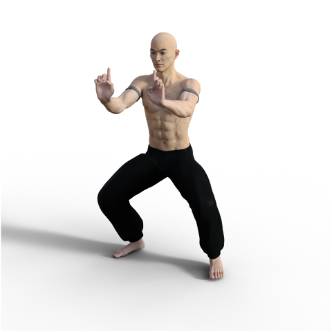 kung-fu-pose-fighter-wushu-action-4938643