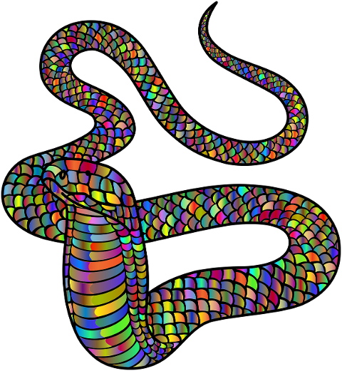 king-cobra-snake-animal-reptile-6884213