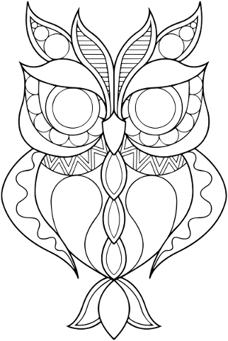 owl-bird-line-art-animal-abstract-5310812
