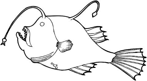 frogfish-fish-animal-marine-6324260