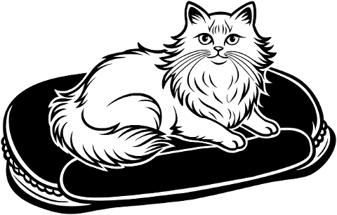 ai-generated-cat-animal-feline-pet-8969513