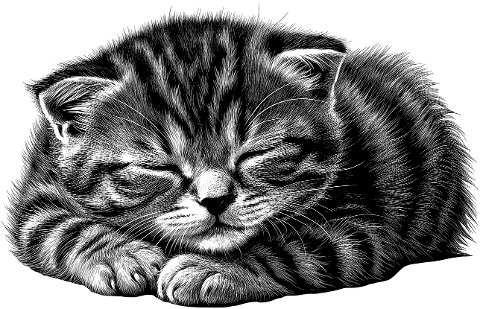 ai-generated-cat-animal-sleeping-8969620