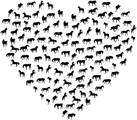 horse-animal-heart-equine-5734299