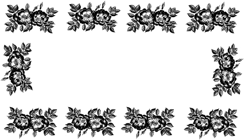 frame-flowers-line-drawing-border-7501930